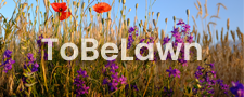 ToBeLawn project