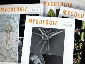 Four different issues of the journal lying on top of each other
