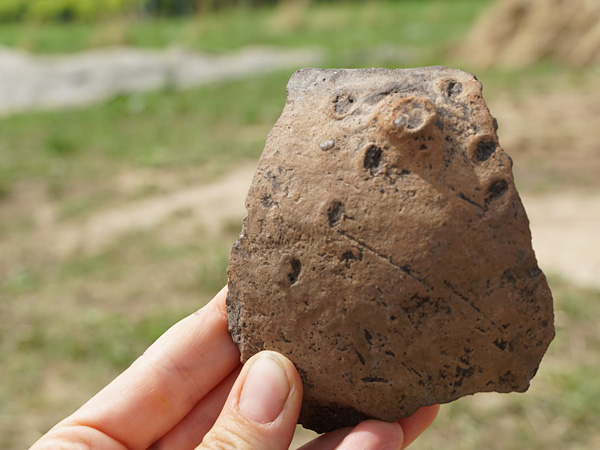 Dłoń trzymająca fragment skorupy glinianego naczynia