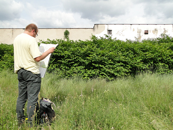 A man stands in a meadow and studies a map. In the background are thickets of knotweed and dilapidated warehouse buildings