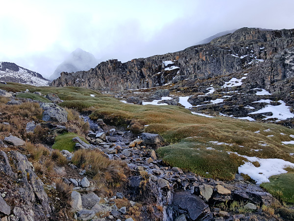 A stony slope partially covered with a carpet of mosses. Water seeps between the stones. In the distance, a wall of rocks