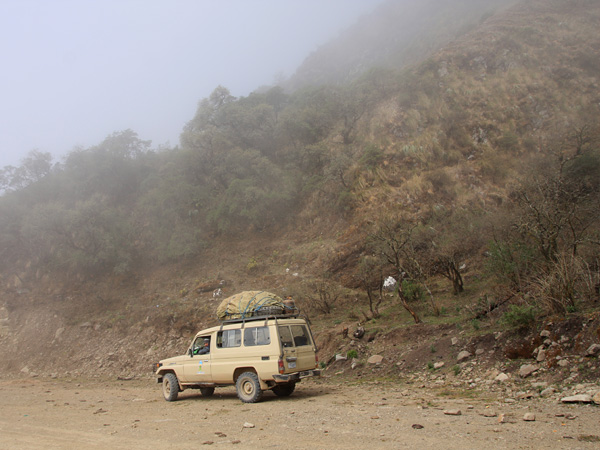 An off-road vehicle with luggage on the roof. Behind it, a mountainside covered with dwarf trees, disappearing into the mist