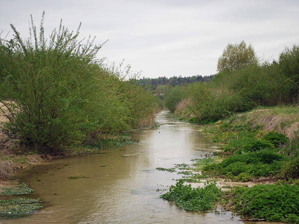 A small, shallow river with water flowing over a sandy bottom, between sandy banks covered with bushes