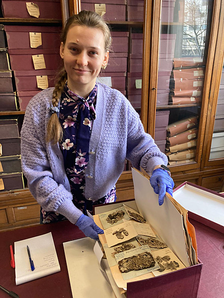 A woman in latex gloves takes sheets of lichen specimens from a cardboard box. Behind her is a glass case full of boxes