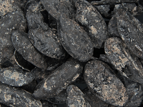Black as coal, ovoid objects with a flaky surface. They fill the entire frame