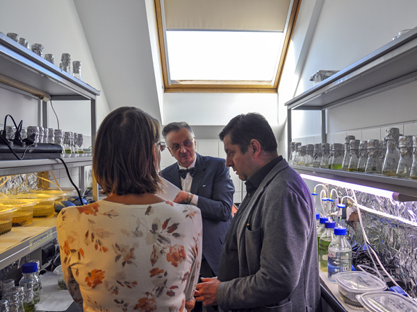Three people talk in a narrow room with a skylight. The walls are lined with shelves with vessels filled with a green liquid
