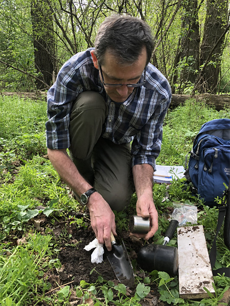 A man digs a shovel into the black soil of a deciduous forest. All around are vivid green, low herbaceous plants
