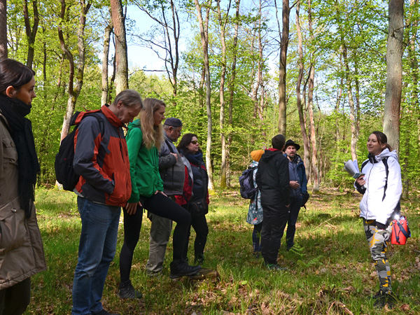 A group of people in colourful hiking clothes stand in a sunlit deciduous forest