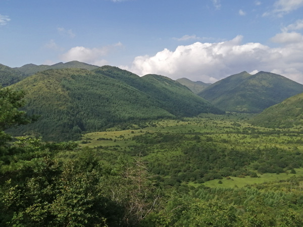 A view from above of the sun-drenched plain and the domed hills beyond. All covered with dense vegetation.