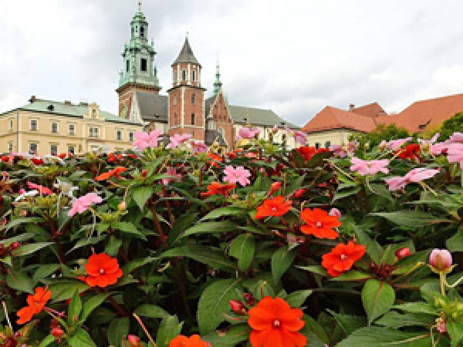 Botanists for Cracovians