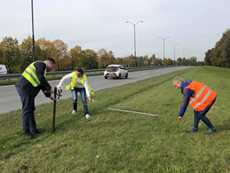 Towards better management of urban greenery – the impact of mowing on the roadside lawn ecosystem