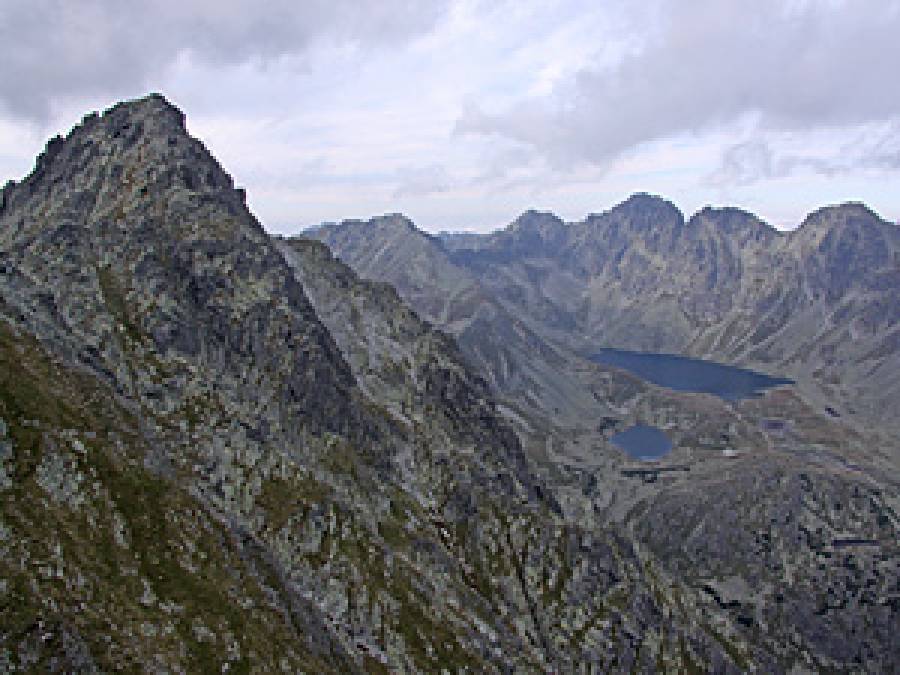 PIONEER: Palaeogenomics of Central European refugia: spatio-temporal dynamics of arctic-alpine flora at the interplay of northern and temperate latitudes