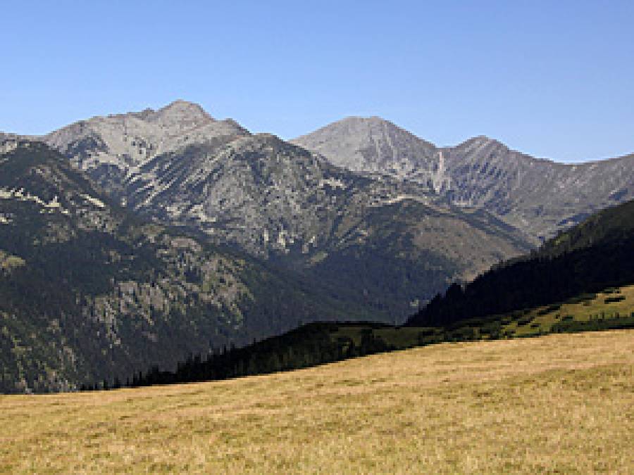 Conserving the endemic flora of the Carpathian region