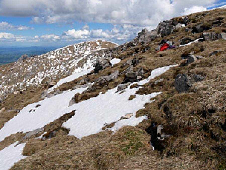 MICROCOSMOS: Mountain ecosystems facing global warming: study of impact of snow cover parameters on microbial communities of nivicolous myxomycetes